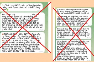 Cảnh giác thủ đoạn mạo danh Quỹ đầu tư Carlyle VN để thực hiện hành vi lừa đảo