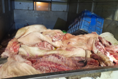 Thịt lợn không đảm bảo an toàn vẫn 'lén lút' tuồn ra thị trường 