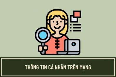 Nguyên tắc bảo vệ thông tin trên mạng bao gồm những gì?