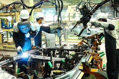 Thời gian qua, doanh nghiệp Việt đã phát triển như thế nào?