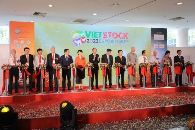 Vietstock 2023: Kết nối, hội nhập ngành chăn nuôi Việt Nam với thị trường quốc tế 