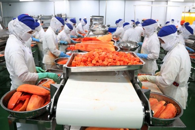 Yêu cầu nội dung áp dụng truy xuất nguồn gốc đối với thực phẩm khi xuất khẩu sang thị trường EU