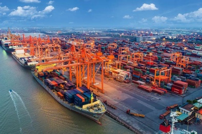 Thực trạng xuất nhập khẩu giữa Việt Nam và Trung Quốc: Cơ hội và thách thức trong bối cảnh mới