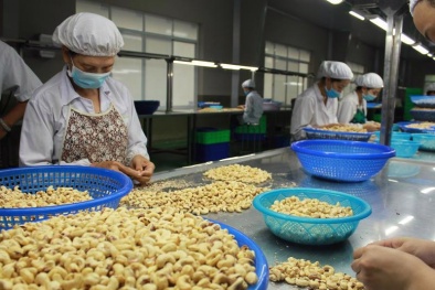 Doanh nghiệp hồ tiêu, điều bị lừa đảo tại Dubai được hoàn trả gần 355.000 USD