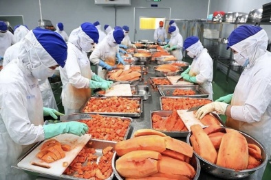 Nhận diện rào cản tăng năng suất với doanh nghiệp chế biến thực phẩm