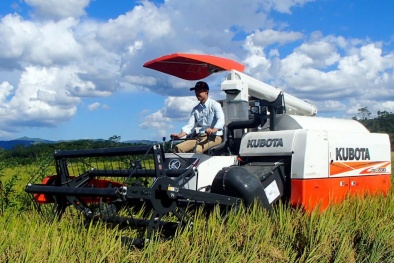 Quản lý chất lượng máy, thiết bị có khả năng gây mất an toàn