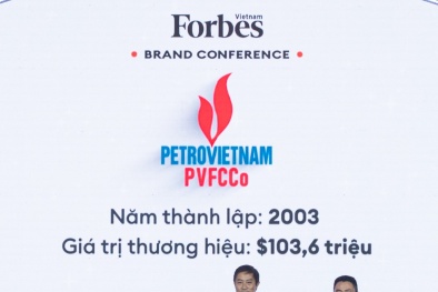 PVFCCo - Top 25 thương hiệu công ty hàng tiêu dùng cá nhân và công nghiệp dẫn đầu Việt Nam năm 2023