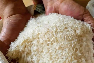 Giá gạo tăng đẩy CPI tháng 10 tăng 0,08%