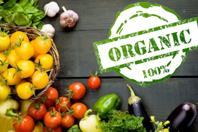 Lợi ích khi áp dụng tiêu chuẩn hữu cơ của EU và Đức trong sản xuất nông nghiệp Việt Nam 