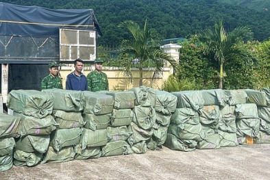 Quảng Ninh xử lý 2.967 vụ buôn lậu, gian lận thương mại, hàng giả