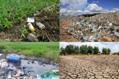 Quản lý chất lượng đất theo QCVN 03:2023/BTNMT nhằm hạn chế suy thoái, ô nhiễm môi trường