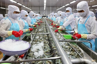 Qúy III: Xuất khẩu tôm sang Trung Quốc tăng trưởng