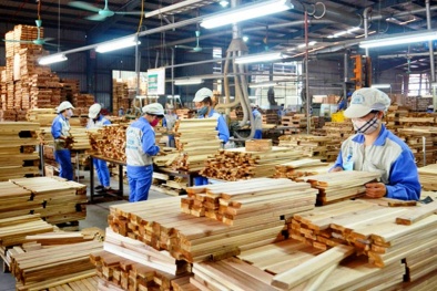Tác động của Chỉ thị về đồ nội thất Ấn Độ có nguy cơ ảnh hưởng đối với doanh nghiệp Việt Nam