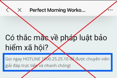Cảnh báo: Trang web giả mạo gây ảnh hưởng đến người dân và uy tín Bảo hiểm Xã hội