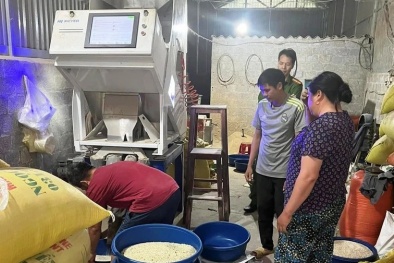 Phát hiện cơ sở tự ý xay xát và nhuộm gạo Séng cù xanh không đúng quy định