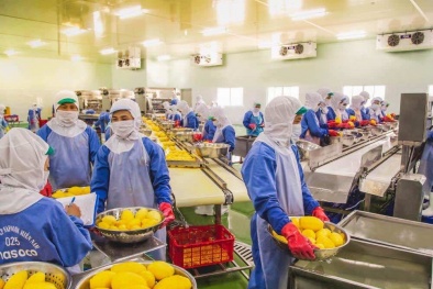 Doanh nghiệp cần làm gì để đạt chứng nhận Halal?