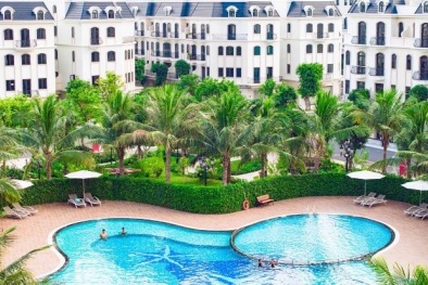 Nhà đầu tư đón chu kỳ tăng trưởng mới với quỹ căn thấp tầng tại Vinhomes Ocean Park 2