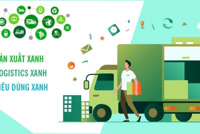 Chuyển đổi xanh tối ưu chi phí logistics thương mại điện tử được nhiều doanh nghiệp hưởng ứng