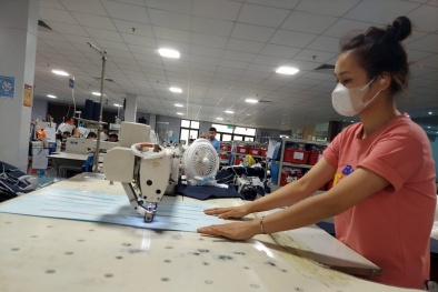 Doanh nghiệp cần thích ứng nhanh với tiêu chuẩn xanh của EU