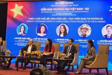 'Chìa khóa xanh' sẽ giúp Việt Nam phát triển bền vững