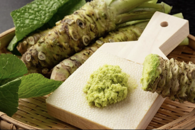 Lợi ích của wasabi trong việc cải thiện trí nhớ và tăng cường sức khỏe 