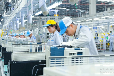 Hơn 14 nghìn doanh nghiệp thành lập mới trong tháng 11