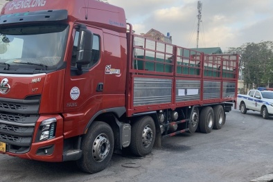 Quảng Ninh: Dùng biển số giả vận chuyển trái phép gần nửa tấn cá tầm nhập lậu từ Trung Quốc 