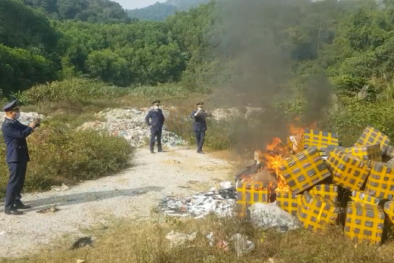 Tiêu hủy hàng trăm ngàn sản phẩm vi phạm trị giá trên 7 tỷ đồng