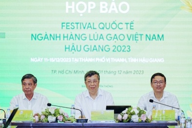 Lần đầu tiên tổ chức Festival ngành hàng lúa gạo Việt Nam