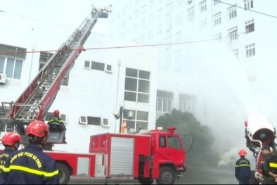 Xử phạt Công ty cổ phần Việt Phú 113 triệu đồng