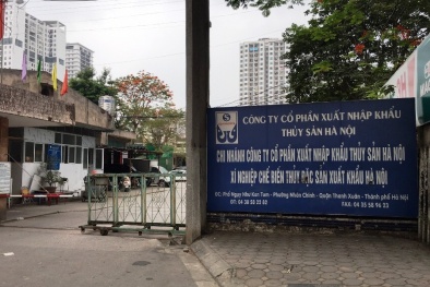 Xuất nhập khẩu Thủy sản Hà Nội bị phạt và truy thu thuế hơn 1,4 tỷ đồng