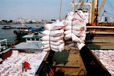 Nông nghiệp tiếp tục là điểm sáng trong hoạt động xuất khẩu