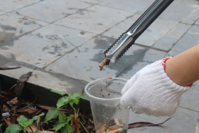 Tàn thuốc lá không chỉ là rác mà còn gây ô nhiễm lớn thứ 2 trên toàn cầu