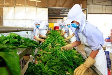 Xuất khẩu rau quả dự kiến đạt 5,6 tỷ USD trong năm 2023