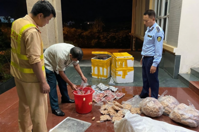 TP.HCM hoàn thiện quy trình truy xuất nguồn gốc thực phẩm để phát triển bền vững