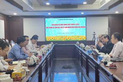 Khảo sát việc thực hành quy định, thể chế tốt tại quận Phú Nhuận trong khuôn khổ hợp tác với APO