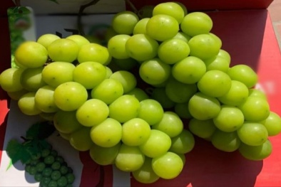 Hoa quả nhập nhèm nguồn gốc tràn lan tại chợ dân sinh, mạng xã hội