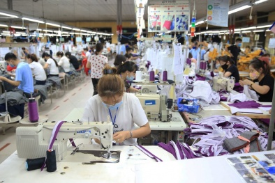 Thích ứng với tiêu chuẩn xanh trong xuất khẩu