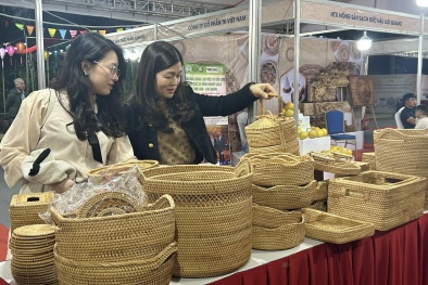 Ban hành bộ tiêu chí và quy trình đánh giá, hướng dẫn phát triển Trung tâm thiết kế sáng tạo sản phẩm làng nghề