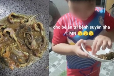 Chưa có bằng chứng khoa học chứng minh cho trẻ ăn thạch sùng có thể trị hen suyễn