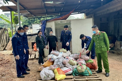 Thái Nguyên phát hiện hơn 1 tấn bì lợn đã bị ôi thiu, biến đổi màu sắc, mùi vị 