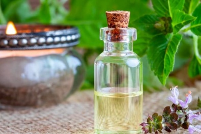 Cách dùng tinh dầu thảo dược hương nhu tránh phản tác dụng với sức khỏe