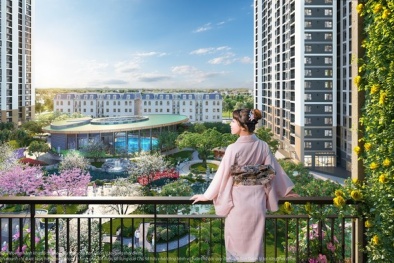 Tâm lý lo sợ bỏ lỡ cơ hội FOMO xuất hiện trở lại, tiền của nhà đầu tư đang đổ về đâu?