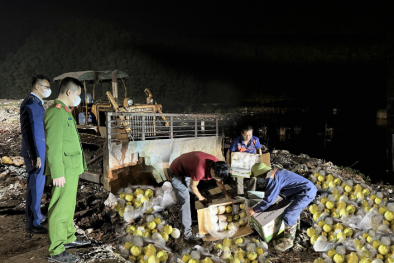 Thái Nguyên thu giữ hơn 1 tấn trái lê tươi không có nhãn phụ bằng tiếng Việt Nam