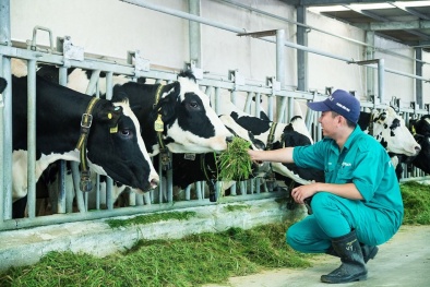 Phê duyệt Đề án ưu tiên 'Đẩy mạnh hoạt động Khoa học và Công nghệ ngành chăn nuôi đến năm 2030'