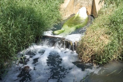 Tỉnh Long An kiểm tra, xử lý nhiều vi phạm nghiêm trọng trong lĩnh vực môi trường