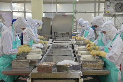 Nâng cấp các biện pháp vệ sinh, kiểm dịch động thực vật trong khu vực và trên thế giới