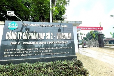 Lào Cai: Xử phạt hai doanh nghiệp do vi phạm pháp luật môi trường