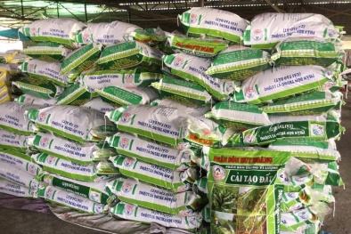 Thu hồi và tiêu huỷ số lượng lớn phân bón Huy Hoàng 