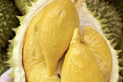 Sầu riêng xuất khẩu sang EU sẽ kiểm tra dư lượng thuốc bảo vệ thực vật tại cửa khẩu